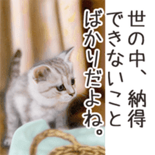 Painting of Kittens 2 sticker #4845111