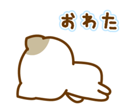 Sticker of bicolor cat sticker #4845445