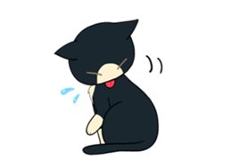 Socks cat sticker sticker #4846577