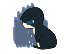 Socks cat sticker sticker #4846584