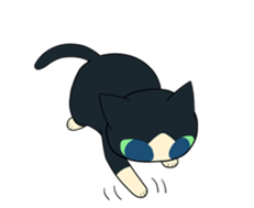 Socks cat sticker sticker #4846594