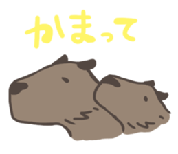 kappy sticker #4847674