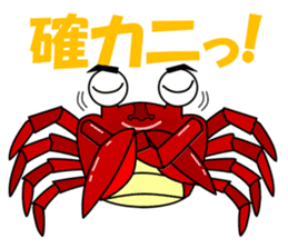 Puns zoo of the human face animals. sticker #4849032