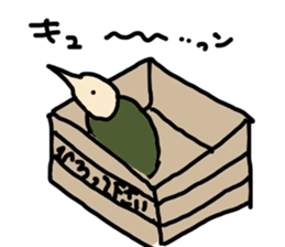 kiwi or kiwi sticker #4849831