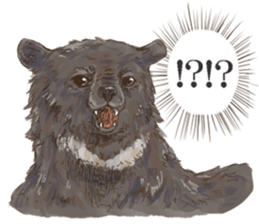 Shikako and company in a forest sticker #4851030