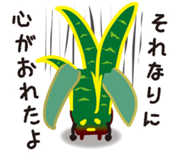 vieria the 3rd sticker #4851804