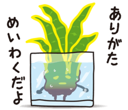 vieria the 3rd sticker #4851809