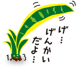 vieria the 3rd sticker #4851810