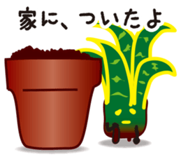 vieria the 3rd sticker #4851818