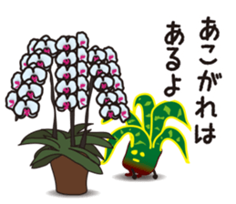 vieria the 3rd sticker #4851823