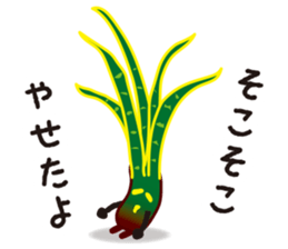 vieria the 3rd sticker #4851825