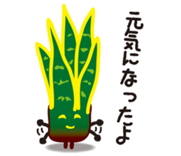 vieria the 3rd sticker #4851827