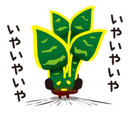 vieria the 3rd sticker #4851832