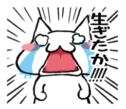 Cat Hakata valve2 sticker #4852027