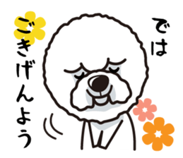 iinu - Bichon Frise sticker #4855196