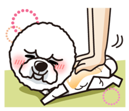 iinu - Bichon Frise sticker #4855211