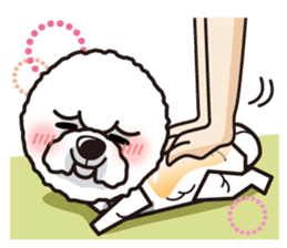 iinu - Bichon Frise sticker #4855211