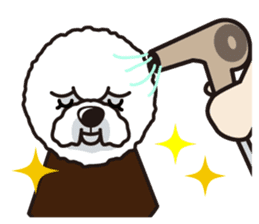 iinu - Bichon Frise sticker #4855212