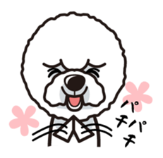 iinu - Bichon Frise sticker #4855219