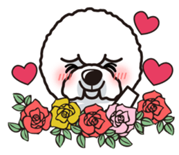 iinu - Bichon Frise sticker #4855220