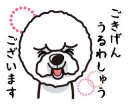 iinu - Bichon Frise sticker #4855223