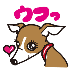 Italian Greyhound MANIA !