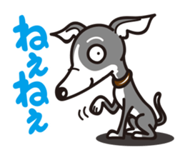 Italian Greyhound MANIA ! sticker #4855506