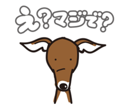 Italian Greyhound MANIA ! sticker #4855507