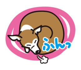 Italian Greyhound MANIA ! sticker #4855510