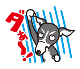 Italian Greyhound MANIA ! sticker #4855513