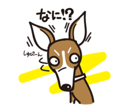 Italian Greyhound MANIA ! sticker #4855516