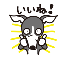 Italian Greyhound MANIA ! sticker #4855517