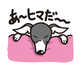 Italian Greyhound MANIA ! sticker #4855519