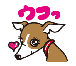 Italian Greyhound MANIA ! sticker #4855520