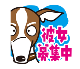 Italian Greyhound MANIA ! sticker #4855522