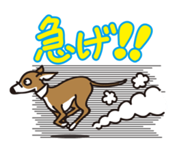 Italian Greyhound MANIA ! sticker #4855523