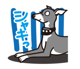 Italian Greyhound MANIA ! sticker #4855524