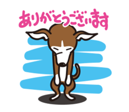 Italian Greyhound MANIA ! sticker #4855526