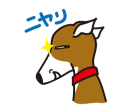 Italian Greyhound MANIA ! sticker #4855528