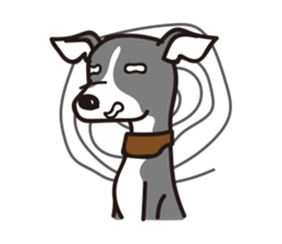 Italian Greyhound MANIA ! sticker #4855531