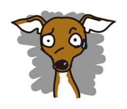 Italian Greyhound MANIA ! sticker #4855532