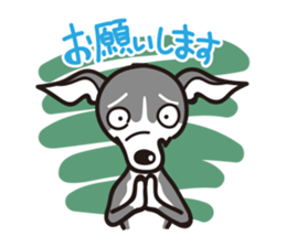 Italian Greyhound MANIA ! sticker #4855541