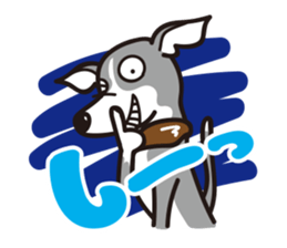 Italian Greyhound MANIA ! sticker #4855543