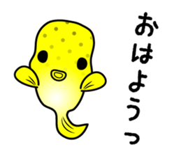 hakofugu chan sticker #4855797