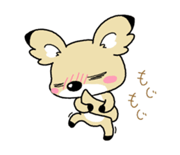 Conchihuahua "Hallo!" sticker #4860593