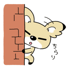 Conchihuahua "Hallo!" sticker #4860598