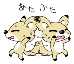 Conchihuahua "Hallo!" sticker #4860611