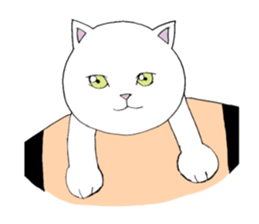 Cat and lord sticker #4862982