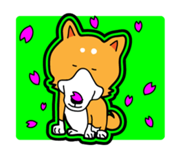 SHIBA wanuuuu sticker #4863688