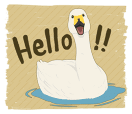 Sound of swans(English) sticker #4863848